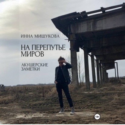Скачать книгу На перепутье миров. Акушерские заметки.