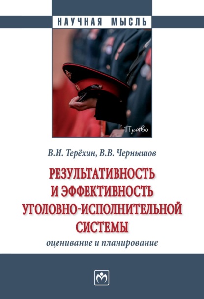 Скачать книгу Результативность и эффективность уголовно-исполнительной системы: оценивание и планирование