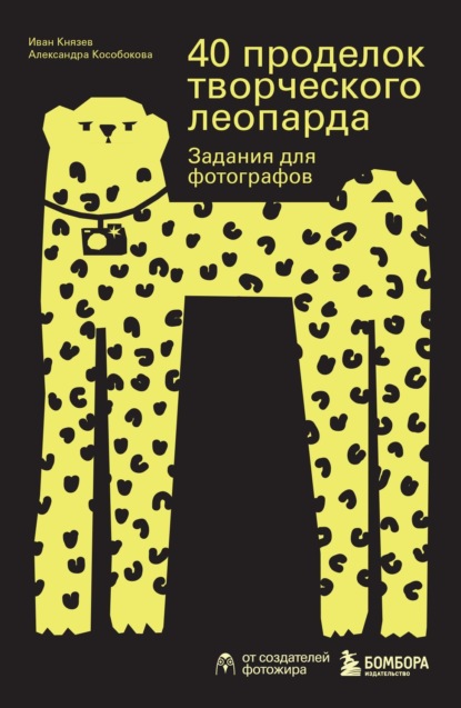 Скачать книгу 40 проделок творческого леопарда. Задания для фотографов