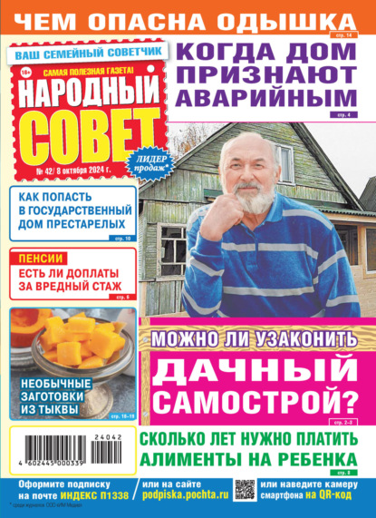 Скачать книгу Народный совет №42/2024
