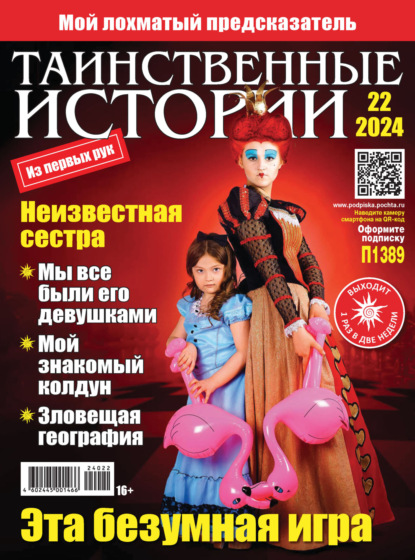 Скачать книгу Таинственные истории №22/2024
