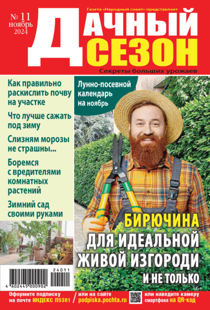 Скачать книгу Дачный сезон №11/2024