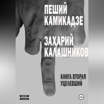 Скачать книгу Пеший камикадзе. Книга вторая. Уцелевший