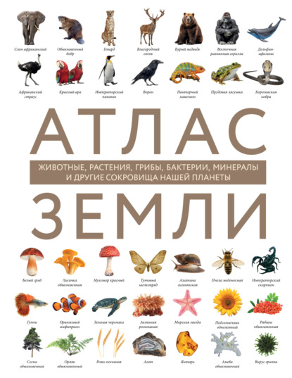Скачать книгу Атлас Земли. Животные, растения, грибы, бактерии, минералы и другие сокровища нашей планеты