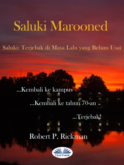 Скачать книгу Saluki Marooned