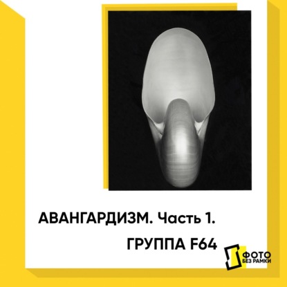 Скачать книгу Авангардизм в фотографии. Часть 1. Группа F64