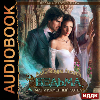 Скачать книгу Ведьма против мага. Книга 2. Ведьма, маг и каменный котел