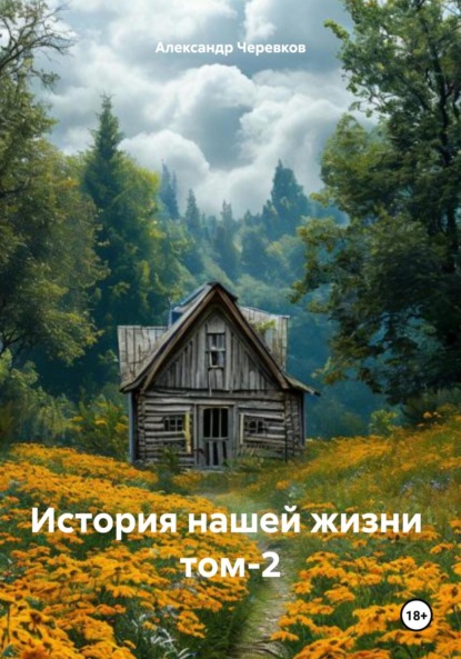 Скачать книгу История нашей жизни Том-2