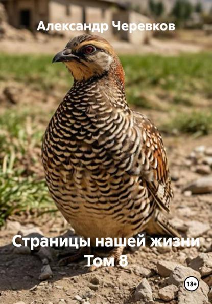 Скачать книгу Страницы нашей жизни Том 8