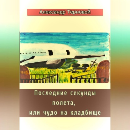 Скачать книгу Последние секунды полета, или чудо на кладбище