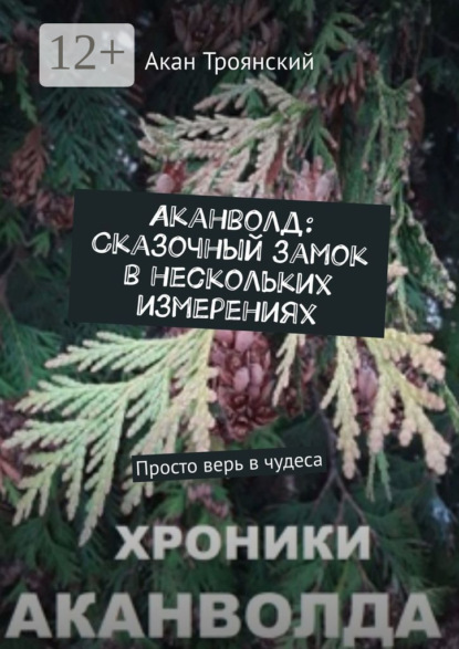 Скачать книгу Аканволд: Сказочный замок в нескольких измерениях. Просто верь в чудеса