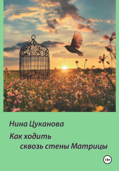 Скачать книгу Как ходить сквозь стены Матрицы