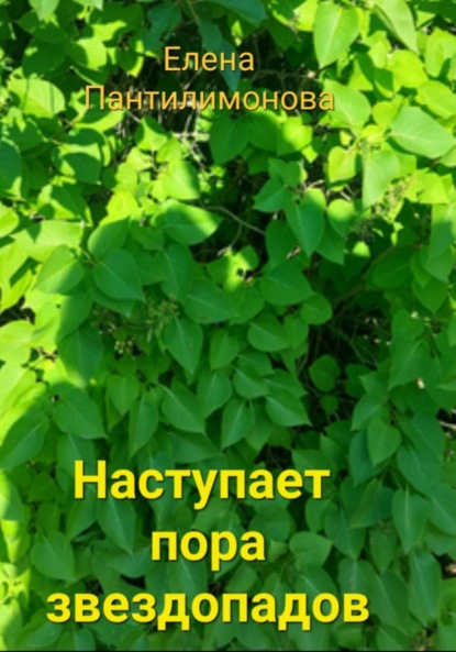Скачать книгу Наступает пора звездопадов