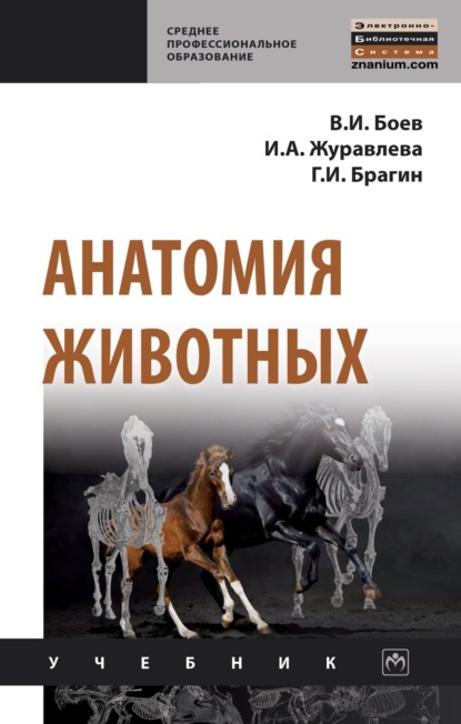 Скачать книгу Анатомия животных