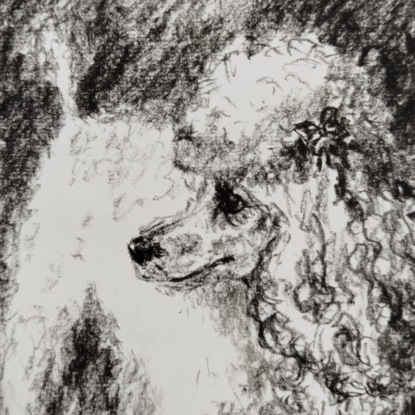 Скачать книгу Замечательная Шуша