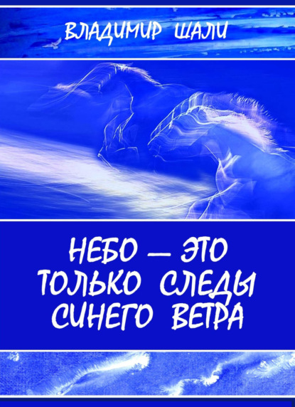 Скачать книгу Небо – это только следы синего ветра