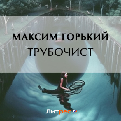 Скачать книгу Трубочист