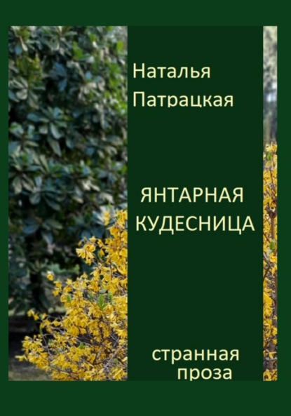 Скачать книгу Янтарная кудесница