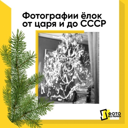 Скачать книгу Фотографии ёлок от царя и до СССР