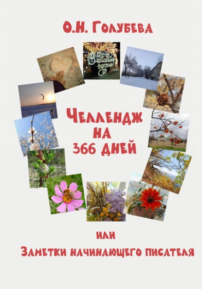 Скачать книгу Челлендж на 366 дней, или Заметки начинающего писателя