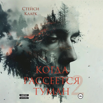 Когда рассеется туман. Книга 2