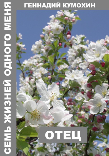 Скачать книгу Семь жизней одного меня. Отец