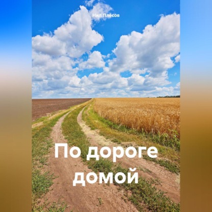 Скачать книгу По дороге домой