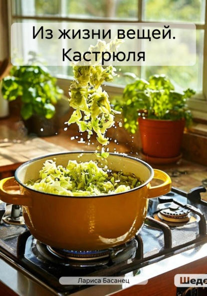 Скачать книгу Из жизни вещей. Кастрюля