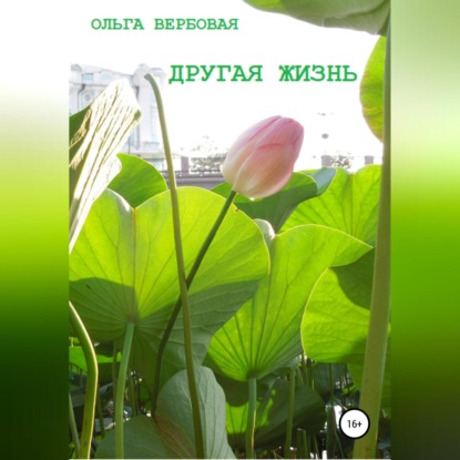 Скачать книгу Другая жизнь