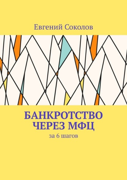 Скачать книгу Банкротство через МФЦ. За 6 шагов
