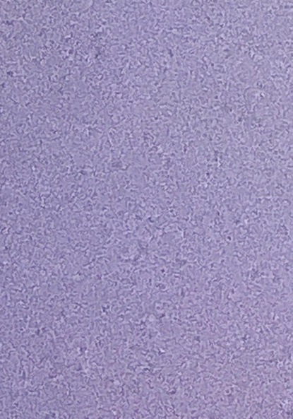 Скачать книгу Создай империю или умри. Дно – опора. Ниже ад. Москва поймет