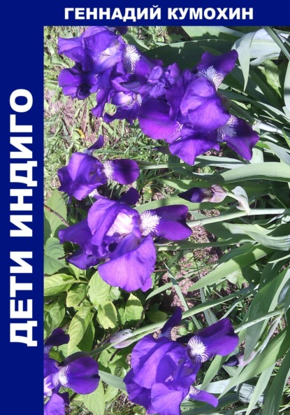 Скачать книгу Дети Индиго