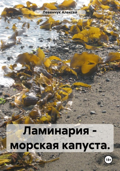 Ламинария – морская капуста.