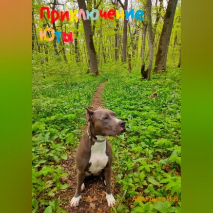 Скачать книгу Приключение Юты.