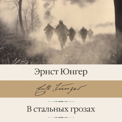 Скачать книгу В стальных грозах