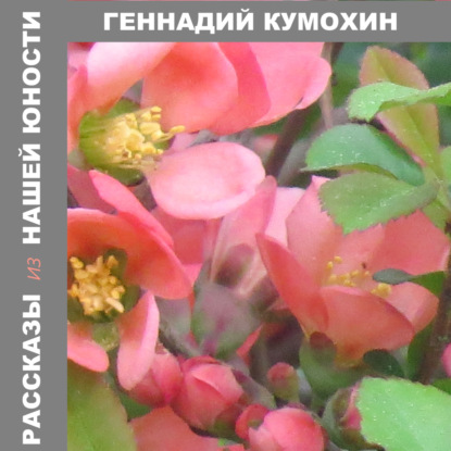 Скачать книгу Рассказы из нашей юности