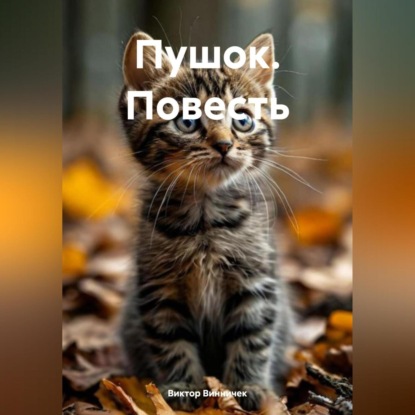 Скачать книгу ПУШОК (повесть)