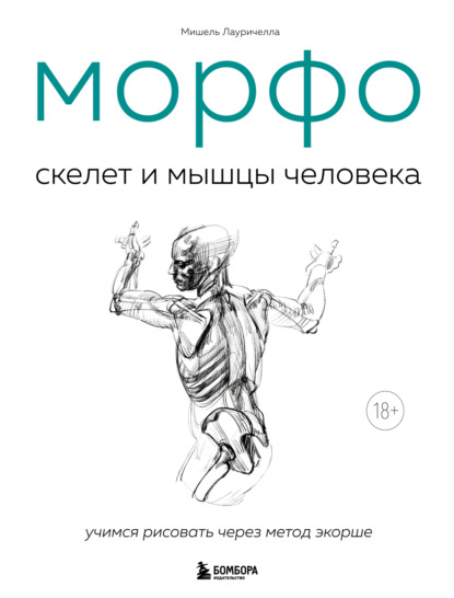 Скачать книгу МОРФО. Скелет и мышцы человека. Анатомия для художников