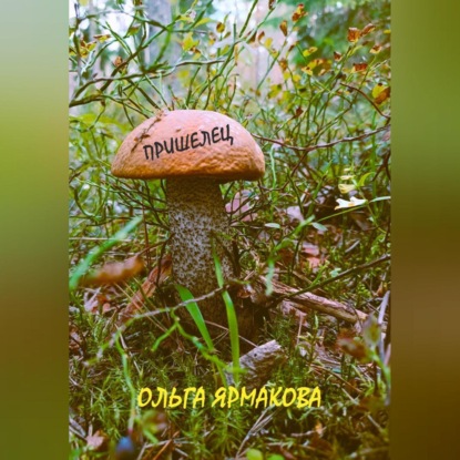 Скачать книгу Пришелец