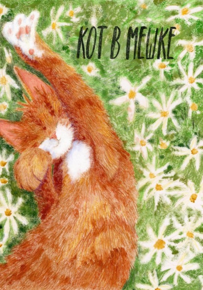 Скачать книгу Кот в мешке, детский журнал. Выпуск 6 (46), лето 2023 года