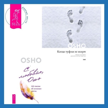 Скачать книгу Когда туфли не жмут. Беседы по историям даосского мистика Чжуан-цзы. С любовью, Ошо. 120 писем об осознанности