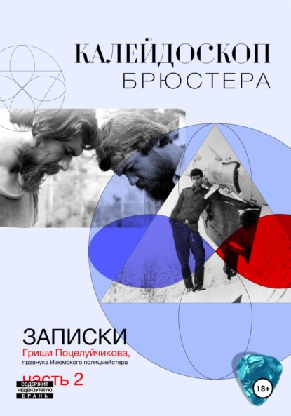 Скачать книгу Калейдоскоп Брюстера