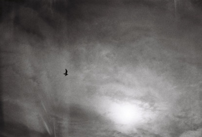 Скачать книгу Где мои джинсы