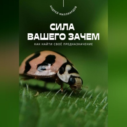 Скачать книгу Сила вашего Зачем. Как найти своё предназначение