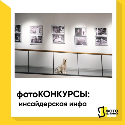 Скачать книгу Фотоконкурсы: инсайдерская инфа