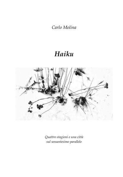 Скачать книгу Haiku