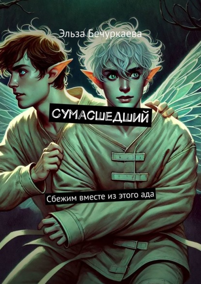 Скачать книгу Сумасшедший. Сбежим вместе из этого ада
