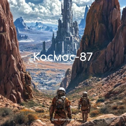 Скачать книгу «Космос-87»
