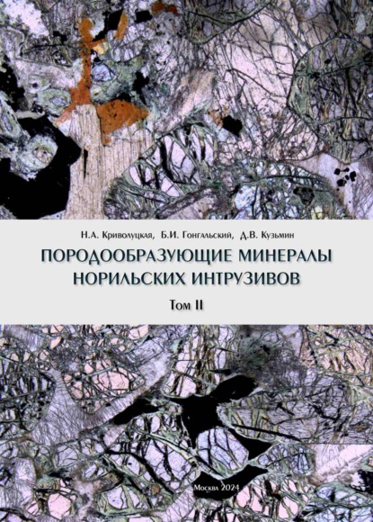 Скачать книгу Породообразующие минералы норильских интрузивов. Том II