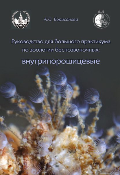 Скачать книгу Руководство для большого практикума по зоологии беспозвоночных. Внутрипорошицевые